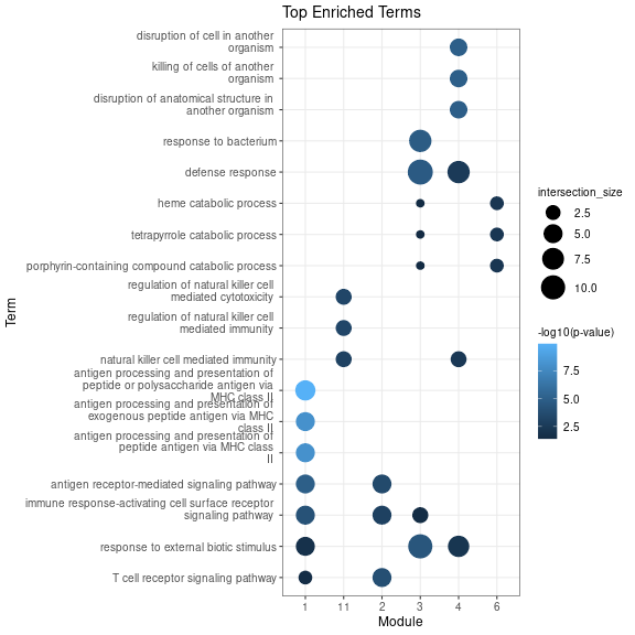 Dotplot showing the top 3 GO:BP terms for each module. The size is proportional to the intersection size, while the colour is proportional to the -log10(q-value).
