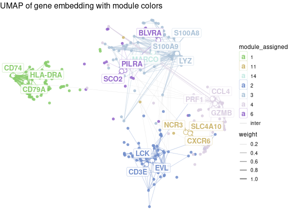 Gene UMAP showing the position of the top hub genes for each module. The edges are drawn between genes that are connected in the gene adjacency graph, while the colour is proportional to the weight of the edge.