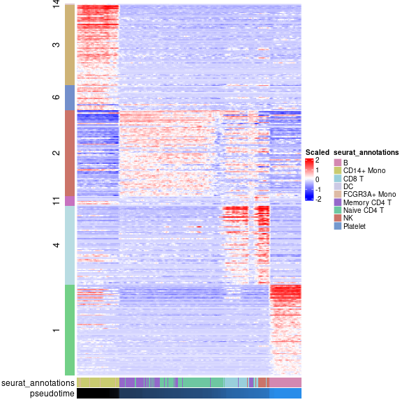 Heatmap showing the expression of the selected modules across the pseudotime trajectory. The cells are ordered by their pseudotime values, while the modules are ordered by their median pseudotime value.