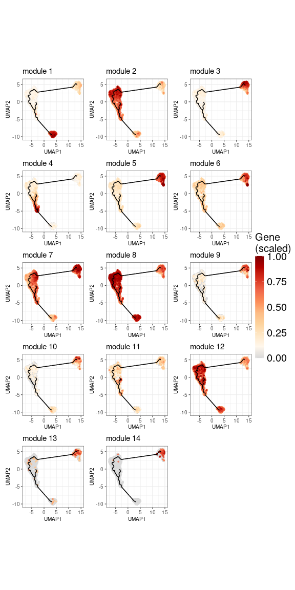 UMAP distribution of the populations defined by each gene module. The expression is aggregated across all genes belonging to the module and scaled between 0 and 1.