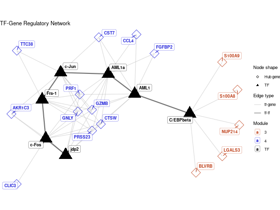 Graph showing the interaction between Transcription Factors and major regulons. The size of the nodes is proportional to the intersection size.