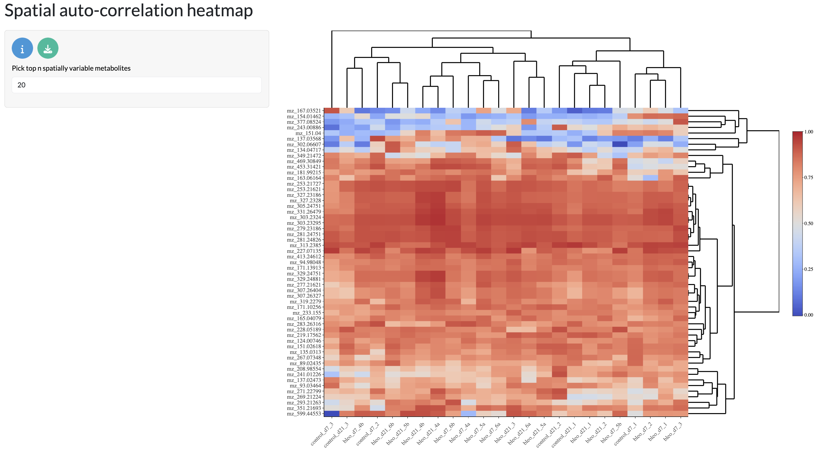 Spatial autocorrelation heatmap