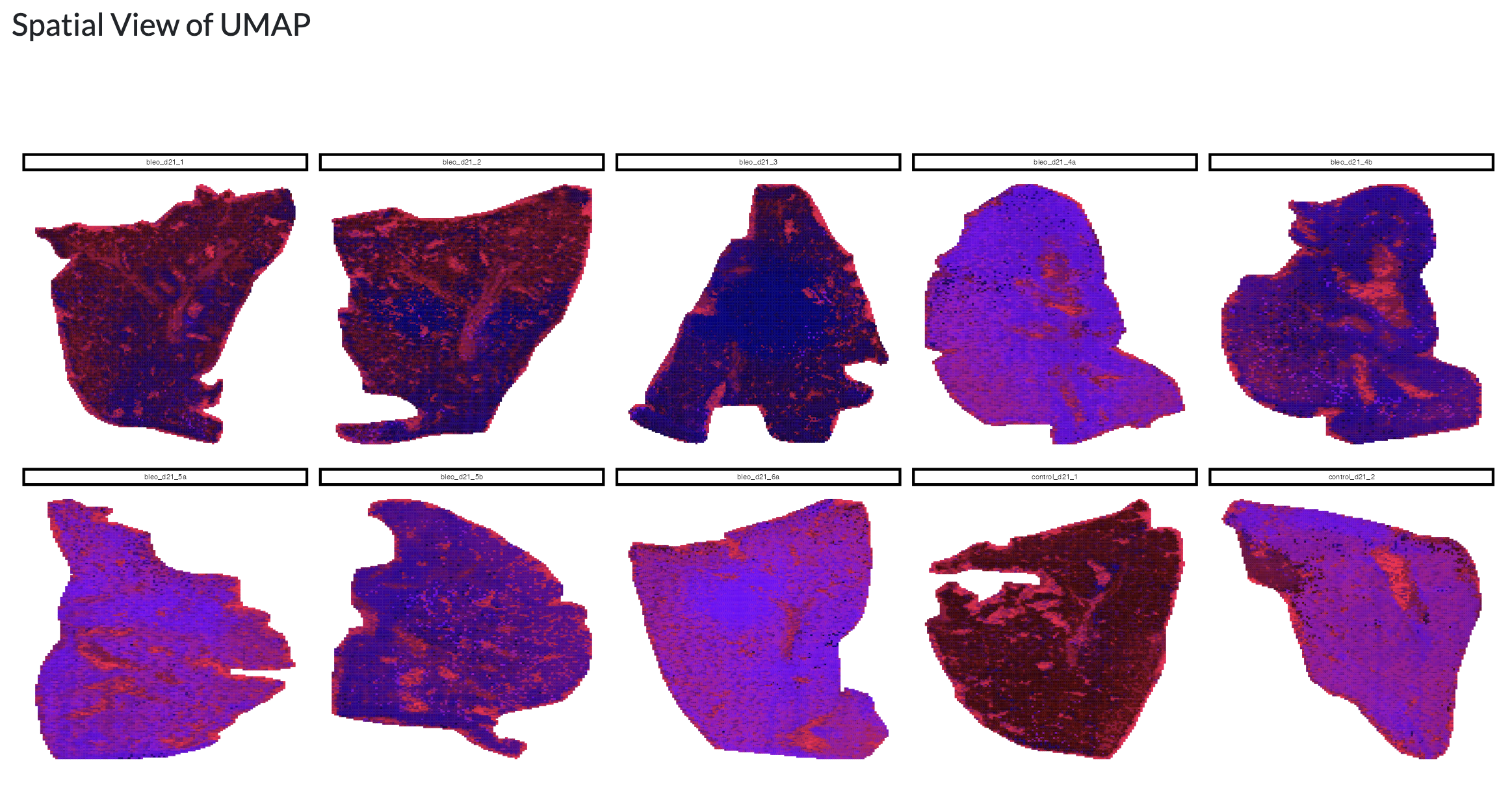 Dimensionality reduction - UMAP